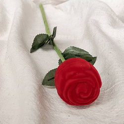 Pudełko na biżuterię w kształcie dużej óży